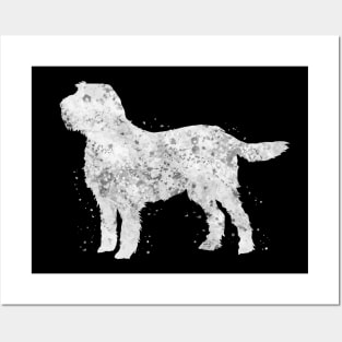 Italian Spinone dog Posters and Art